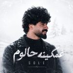 سله (سلمان جعفری) – غمگینه حالوم
